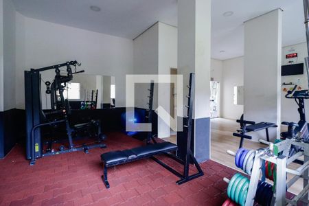 Apartamento para alugar com 74m², 3 quartos e 2 vagas Apartamento para alugar com 74m², 3 quartos e 2 vagasÁrea comum - Academia