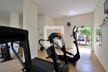 Apartamento para alugar com 74m², 3 quartos e 2 vagasQuadra Esportiva