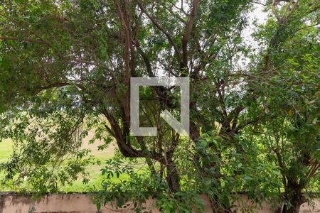 Apartamento para alugar com 69m², 2 quartos e 1 vagaVista do Quarto 2