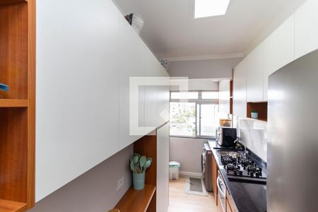 Apartamento à venda com 47m², 2 quartos e 1 vagaCozinha - Armários