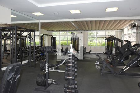 Área comum - Academia de apartamento para alugar com 4 quartos, 163m² em Campo Grande, São Paulo