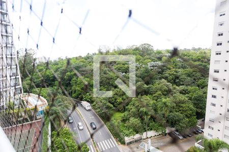 Vista da Varanda de apartamento à venda com 2 quartos, 97m² em Panamby, São Paulo