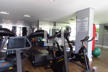 Apartamento para alugar com 233m², 3 quartos e 3 vagasÁrea Comum - Academia