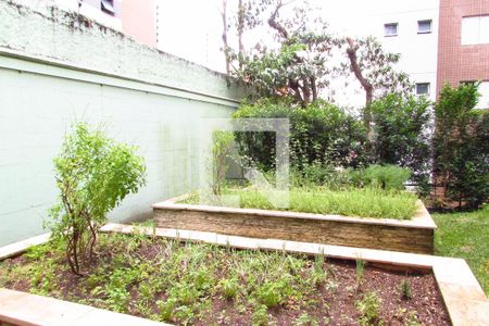 Apartamento para alugar com 233m², 3 quartos e 3 vagasÁrea comum - Horta