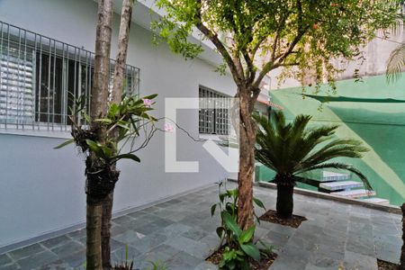 Casa para alugar com 120m², 2 quartos e 1 vaga Casa para alugar com 120m², 2 quartos e 1 vagaÁrea externa