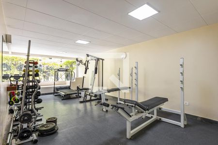 Apartamento à venda com 270m², 3 quartos e 1 vagaAcademia