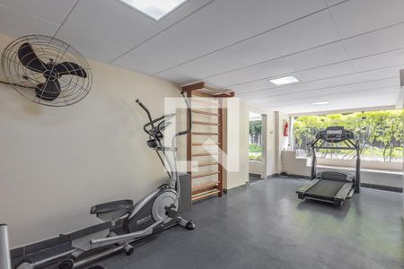 Apartamento à venda com 270m², 3 quartos e 1 vagaAcademia