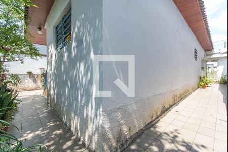 Casa à venda com 300m², 3 quartos e 3 vagas Casa à venda com 300m², 3 quartos e 3 vagasQuintal