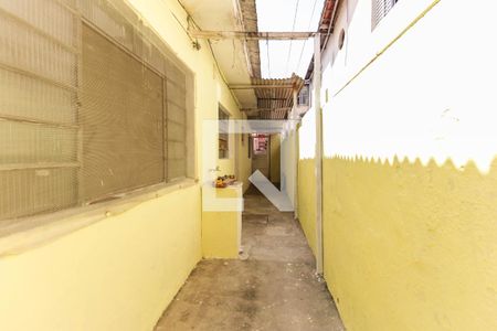 Área de Serviço de casa para alugar com 2 quartos, 100m² em Jardim das Camélias, São Paulo