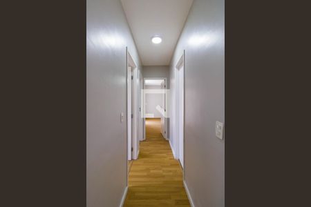 Corredor de apartamento para alugar com 3 quartos, 77m² em Vila das Belezas, São Paulo