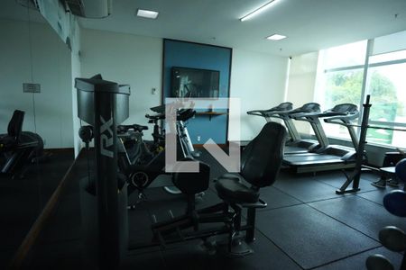 Apartamento para alugar com 146m², 5 quartos e 3 vagasÁrea comum - Academia