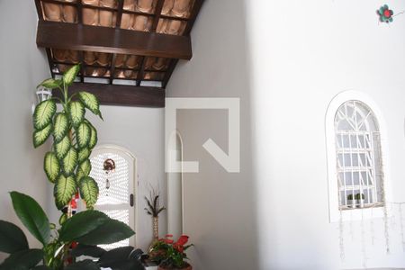 Casa para alugar com 245m², 3 quartos e 4 vagasÁrea externa 