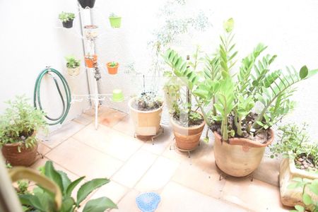 Casa para alugar com 245m², 3 quartos e 4 vagasHall