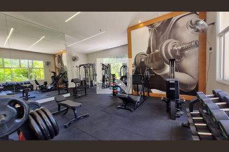 Apartamento à venda com 260m², 3 quartos e 4 vagas Apartamento à venda com 260m², 3 quartos e 4 vagasÁrea comum - Academia