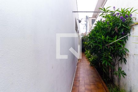 Casa à venda com 300m², 4 quartos e 2 vagas Casa à venda com 300m², 4 quartos e 2 vagasCorredor Externo