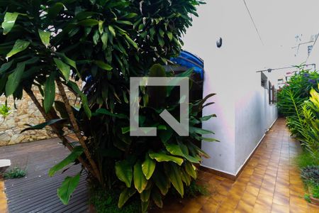 Casa à venda com 300m², 4 quartos e 2 vagas Casa à venda com 300m², 4 quartos e 2 vagasQuintal