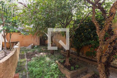 Casa à venda com 247m², 4 quartos e 2 vagasQuintal