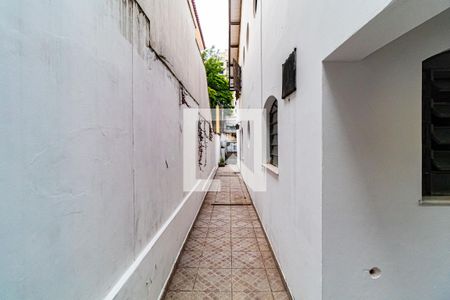 Casa à venda com 180m², 3 quartos e 2 vagasQuintal