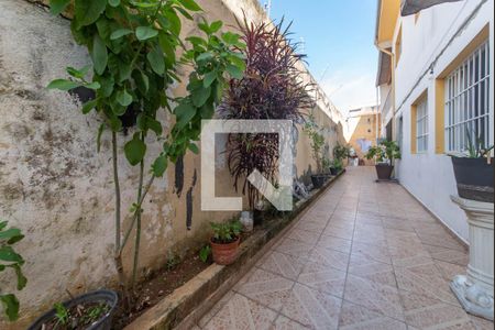 Casa à venda com 400m², 5 quartos e 3 vagasQuintal