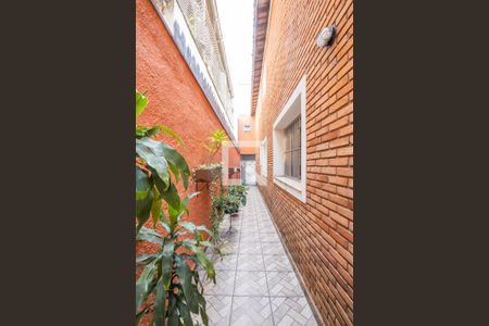 Casa à venda com 500m², 3 quartos e sem vagaQuintal