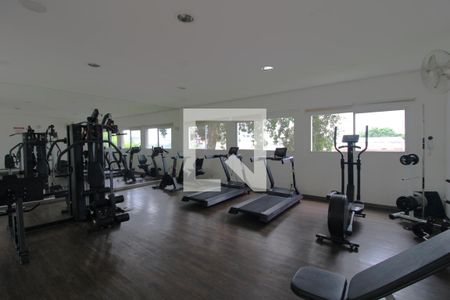 Apartamento para alugar com 70m², 3 quartos e 1 vagaAcademia