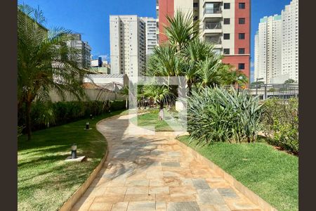 Apartamento para alugar com 68m², 3 quartos e 1 vagaÁrea comum