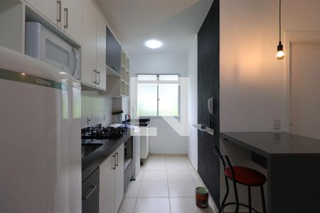 Cozinha  de apartamento para alugar com 2 quartos, 50m² em Jardim Itau, Ribeirão Preto