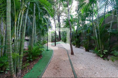 Apartamento à venda com 62m², 2 quartos e 1 vagaÁrea Comum - Pista de Caninhada