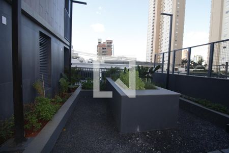 Studio para alugar com 31m², 0 quarto e sem vagaÁrea comum