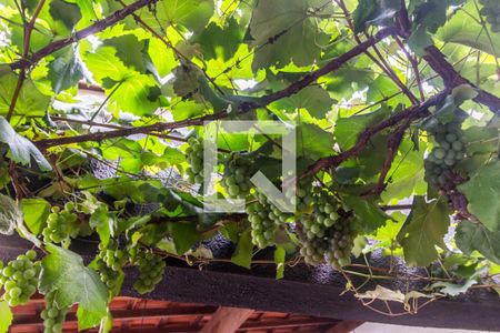 Casa de condomínio à venda com 258m², 4 quartos e 6 vagasÁrea comum