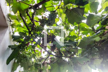 Casa de condomínio à venda com 258m², 4 quartos e 6 vagasÁrea comum