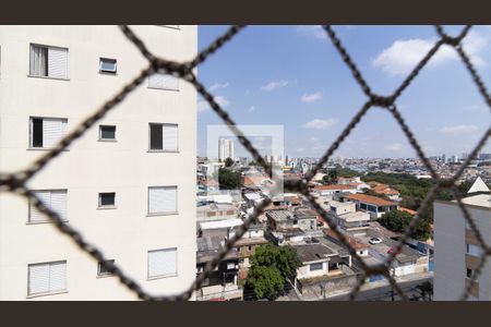 Vista do Quarto 1 de apartamento à venda com 2 quartos, 52m² em Vila Pierina, São Paulo