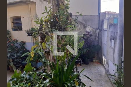 Casa à venda com 60m², 2 quartos e 1 vaga Casa à venda com 60m², 2 quartos e 1 vagaQuintal