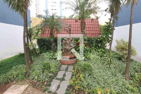 Área Verde de apartamento para alugar com 3 quartos, 64m² em Vila Cunha Bueno, São Paulo