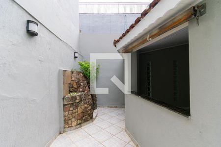 Casa para alugar com 300m², 3 quartos e 1 vaga Casa para alugar com 300m², 3 quartos e 1 vagaQuintal