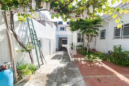 Casa para alugar com 360m², 1 quarto e 10 vagasQuintal