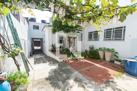 Casa para alugar com 360m², 1 quarto e 10 vagasQuintal