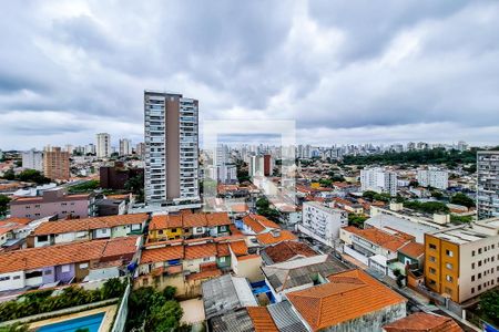 Apartamento à venda com 124m², 3 quartos e 2 vagasVista Varanda