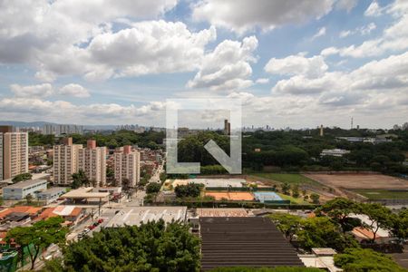 Vista do Quarto 1 de apartamento à venda com 3 quartos, 65m² em Vila Butantã, São Paulo