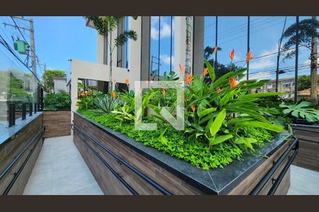 Apartamento para alugar com 66m², 2 quartos e 1 vaga Apartamento para alugar com 66m², 2 quartos e 1 vagaJardim