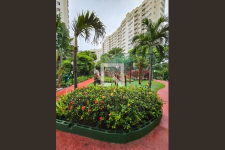 Apartamento para alugar com 51m², 2 quartos e 1 vagaBosque