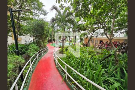 Apartamento para alugar com 51m², 2 quartos e 1 vagaBosque