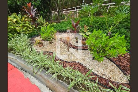 Apartamento para alugar com 51m², 2 quartos e 1 vagaBosque