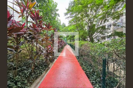 Apartamento para alugar com 51m², 2 quartos e 1 vagaBosque