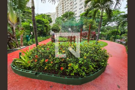 Apartamento para alugar com 51m², 2 quartos e 1 vagaBosque