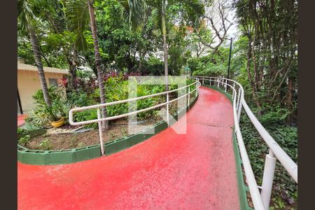 Apartamento para alugar com 51m², 2 quartos e 1 vagaBosque