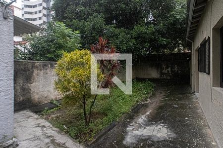 Apartamento para alugar com 50m², 1 quarto e sem vaga Apartamento para alugar com 50m², 1 quarto e sem vagaQuintal com a Área de Serviço