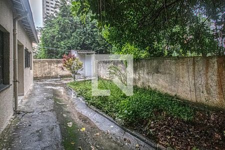 Apartamento para alugar com 50m², 1 quarto e sem vaga Apartamento para alugar com 50m², 1 quarto e sem vagaQuintal com a Área de Serviço