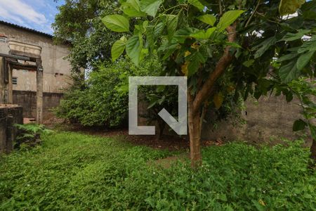 Casa para alugar com 534m², 2 quartos e 1 vagaJardim