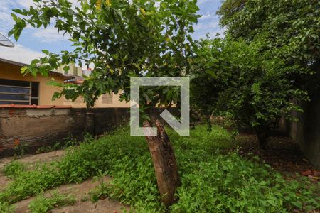 Casa para alugar com 534m², 2 quartos e 1 vagaJardim